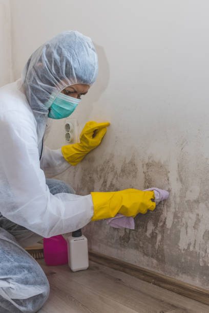 Best Indoor Air Quality Assessment  in Columbia Falls, MT